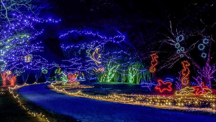 Dominion Energy Garden of Lights display at Norfolk Botanical Garden.